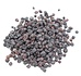 Herbimals Blauwe Bosbessen