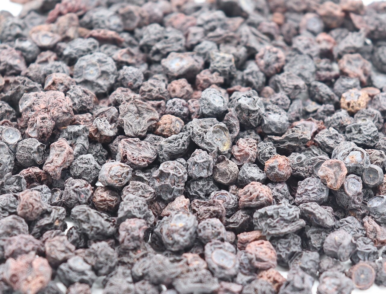 Herbimals Herbimals Blauwe Bosbessen Herbimals Herbimals Blauwe Bosbessen