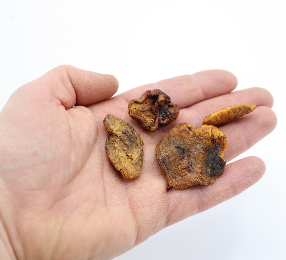 Herbimals Herbimals Abrikoos half - ongezoet - ongezwaveld Herbimals Herbimals Abrikoos half - ongezoet - ongezwaveld