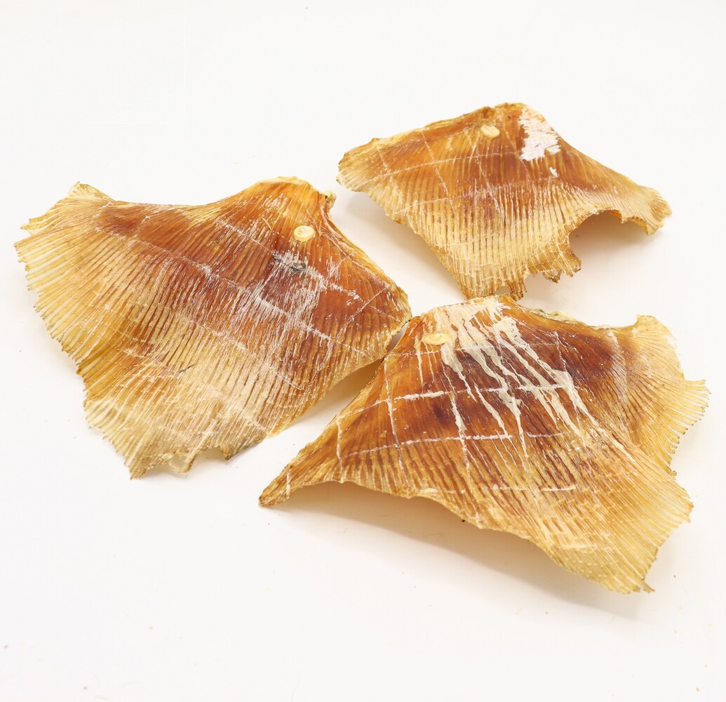 Bark-Bite Bark-Bite Fish - Rog vleugels - 200 gram