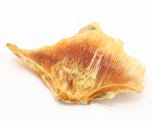 Bark-Bite Bark-Bite Fish - Rog vleugels - 200 gram