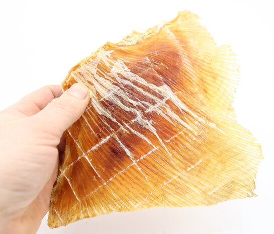 Bark-Bite Bark-Bite Fish - Rog vleugels - 200 gram