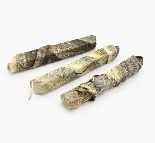 Bark-Bite Bark-Bite Fish - Throwstick - kabeljauw - per 3 Bark-Bite Bark-Bite Fish - Throwstick - kabeljauw - per 3