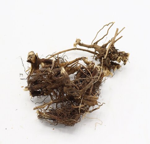 Herbimals Herbimals Rode Zonnehoedwortel - Echineaceawortel - grof Herbimals Herbimals Rode Zonnehoedwortel - Echineaceawortel - grof