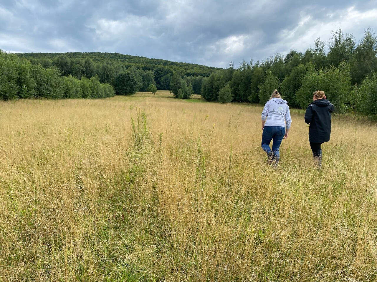 Advies Weidebeheer - Bodemanalyse - Bemesting op Locatie Advies Weidebeheer - Bodemanalyse - Bemesting op Locatie