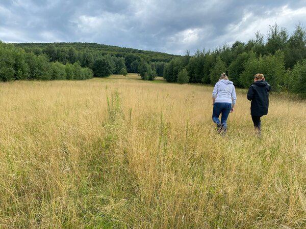 Advies Weidebeheer - Bodemanalyse - Bemesting op Locatie Advies Weidebeheer - Bodemanalyse - Bemesting op Locatie