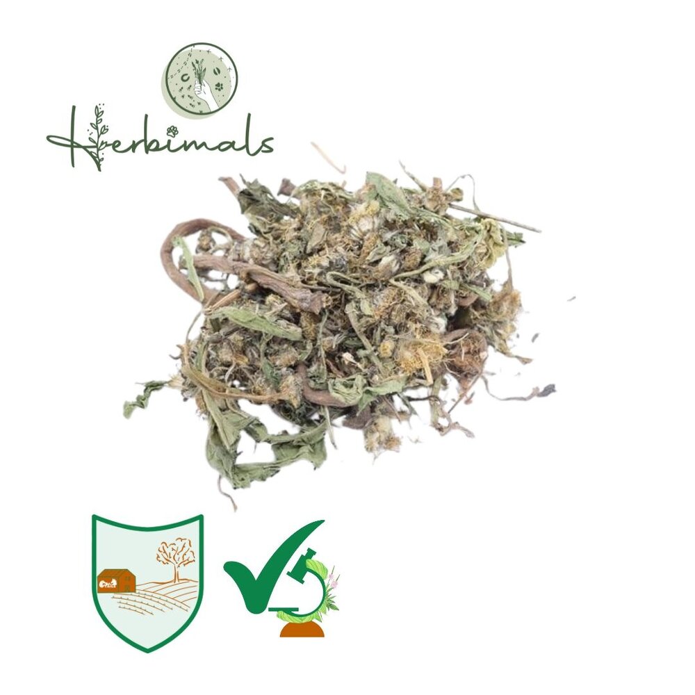 Herbimals Herbimals Paardenbloemplant-wortel-bloem mix Herbimals Herbimals Paardenbloemplant-wortel-bloem mix