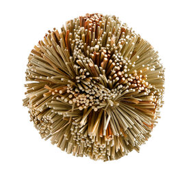 Ferplast Bal Raffia - 10 cm Ferplast Bal Raffia - 10 cm