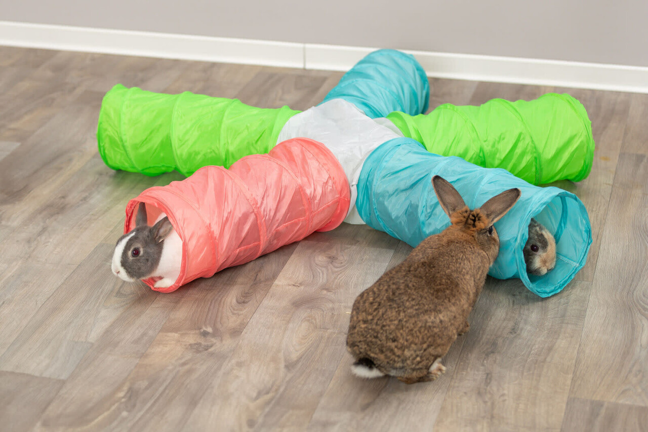 Trixie Trixie Speeltunnel Nylon met 6 Ingangen - 5x18x47 cm Trixie Trixie Speeltunnel Nylon met 6 Ingangen - 5x18x47 cm