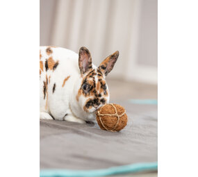 Trixie Trixie Kokosbal - 6 cm Trixie Trixie Kokosbal - 6 cm