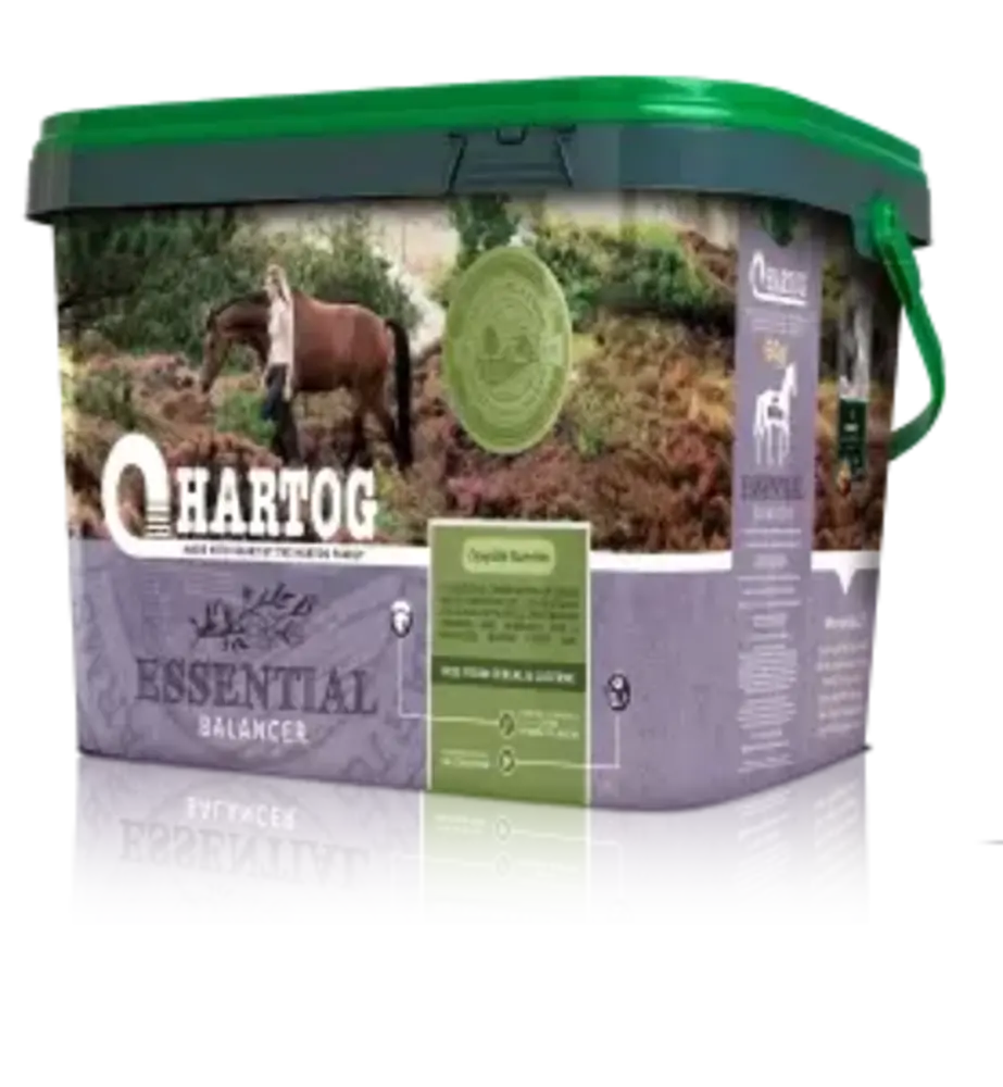 Hartog Hartog Essential - 3.5 kilo Hartog Hartog Essential - 3.5 kilo