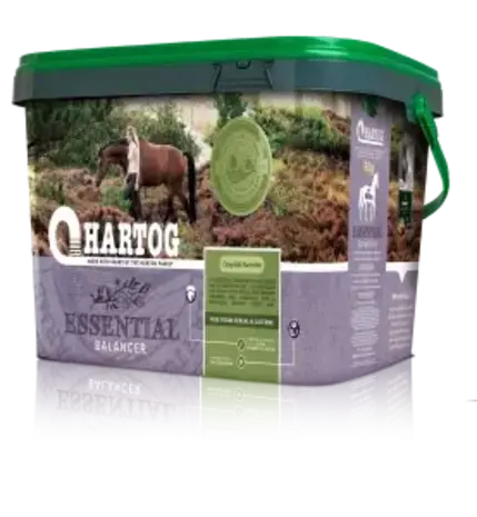 Hartog Hartog Essential - 3.5 kilo Hartog Hartog Essential - 3.5 kilo