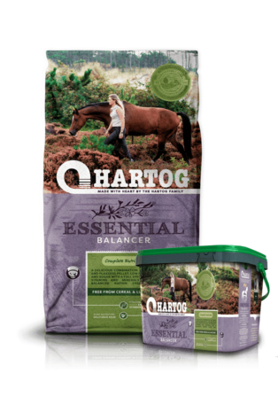 Hartog Hartog Essential - 3.5 kilo Hartog Hartog Essential - 3.5 kilo