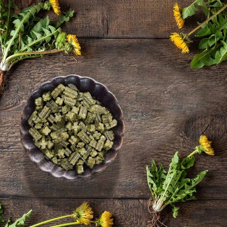 JR Farm JR Farm Dwergkonijn Complete Voeding - 1350 gram JR Farm JR Farm Dwergkonijn Complete Voeding - 1350 gram