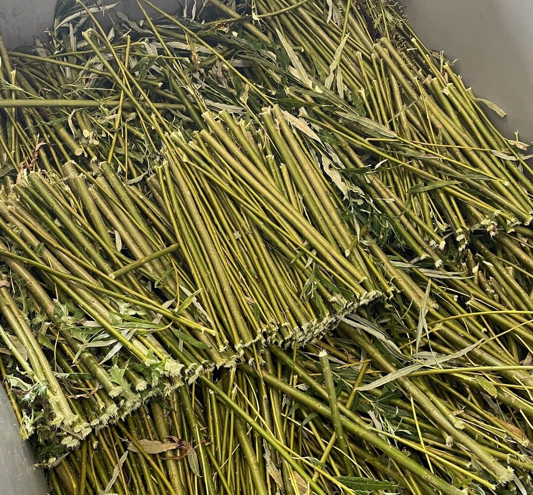 Herbimals Herbimals vers wilgenhout uit de vriezer - 30-40 cm - 250 gram. Herbimals Herbimals vers wilgenhout uit de vriezer - 30-40 cm - 250 gram.