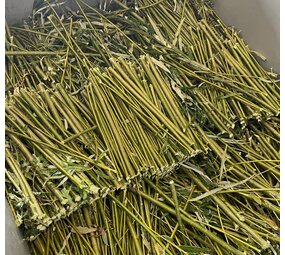 Herbimals Herbimals vers wilgenhout uit de vriezer - 30-40 cm - 250 gram. Herbimals Herbimals vers wilgenhout uit de vriezer - 30-40 cm - 250 gram.