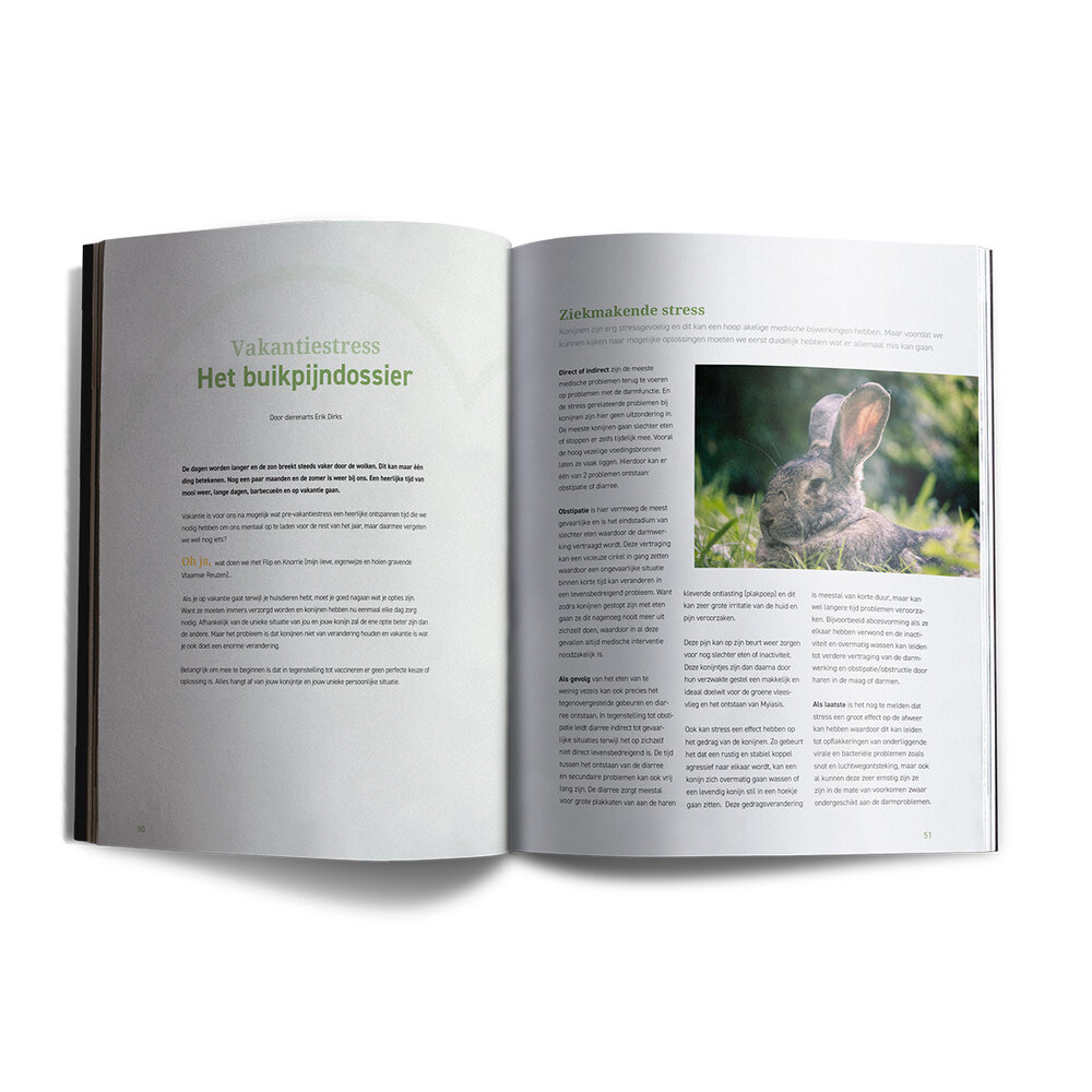 Lang Leven Konijnen Magazine Lang Leven Konijnen - Nummer 11 Lang Leven Konijnen Magazine Lang Leven Konijnen - Nummer 11