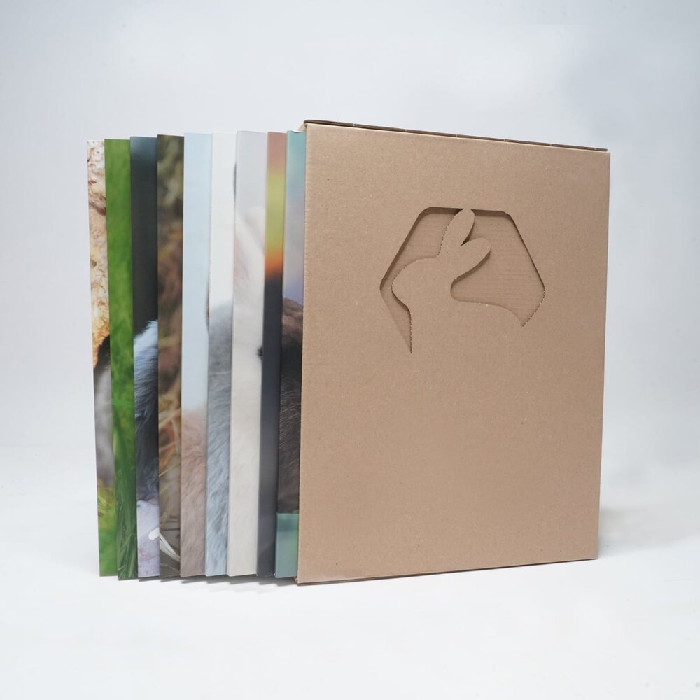 Lang Leven Konijnen Magazine - Leespakket Set nummer 1-10 Lang Leven Konijnen Magazine - Leespakket Set nummer 1-10