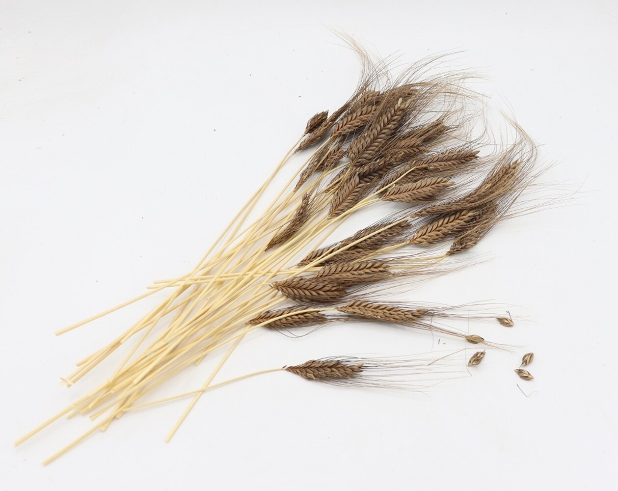 Herbimals Herbimals Emmertarwearen - 100 gram Herbimals Herbimals Emmertarwearen - 100 gram