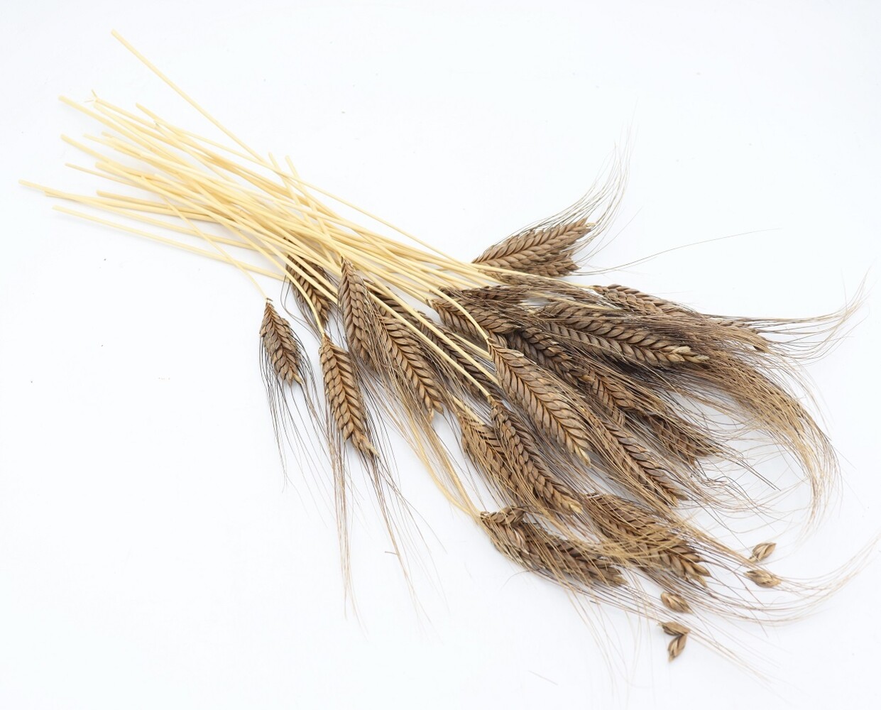 Herbimals Herbimals Emmertarwearen - 100 gram Herbimals Herbimals Emmertarwearen - 100 gram