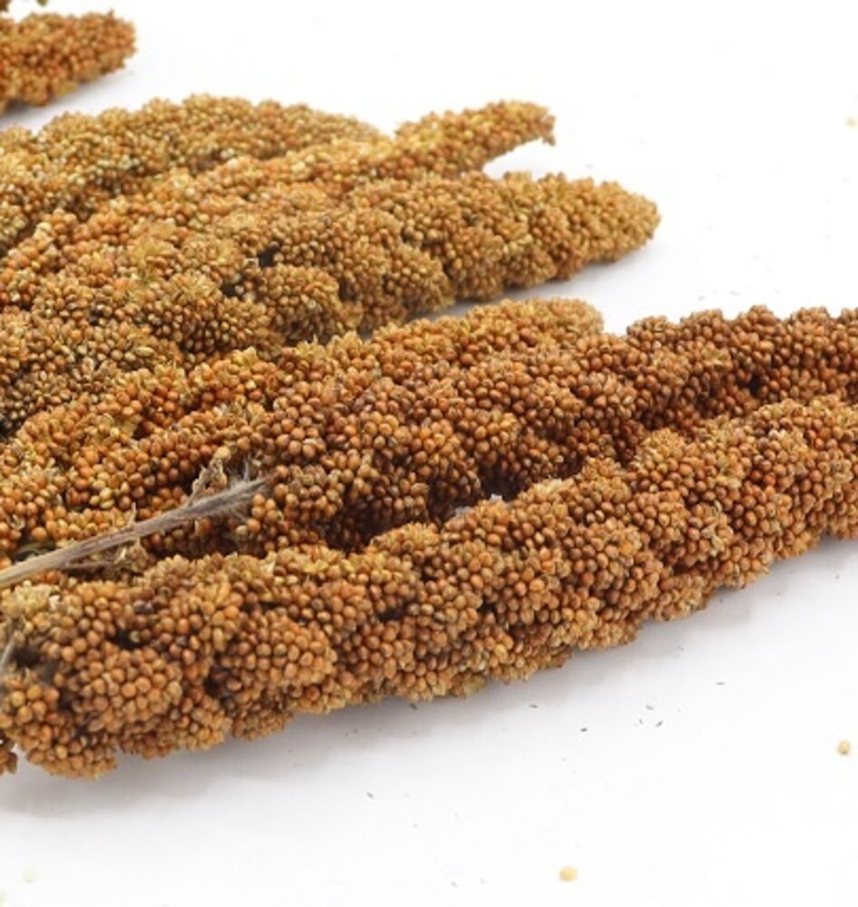 Herbimals Herbimals Trosgierst rood - 100 gram Herbimals Herbimals Trosgierst rood - 100 gram