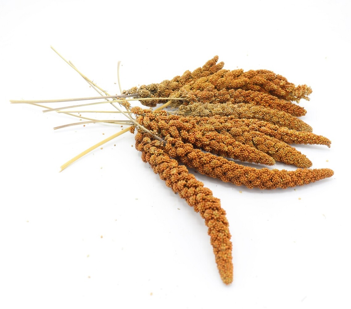 Herbimals Herbimals Trosgierst rood - 100 gram Herbimals Herbimals Trosgierst rood - 100 gram