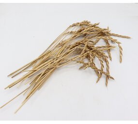Herbimals Herbimals Speltaren - 100 gram Herbimals Herbimals Speltaren - 100 gram