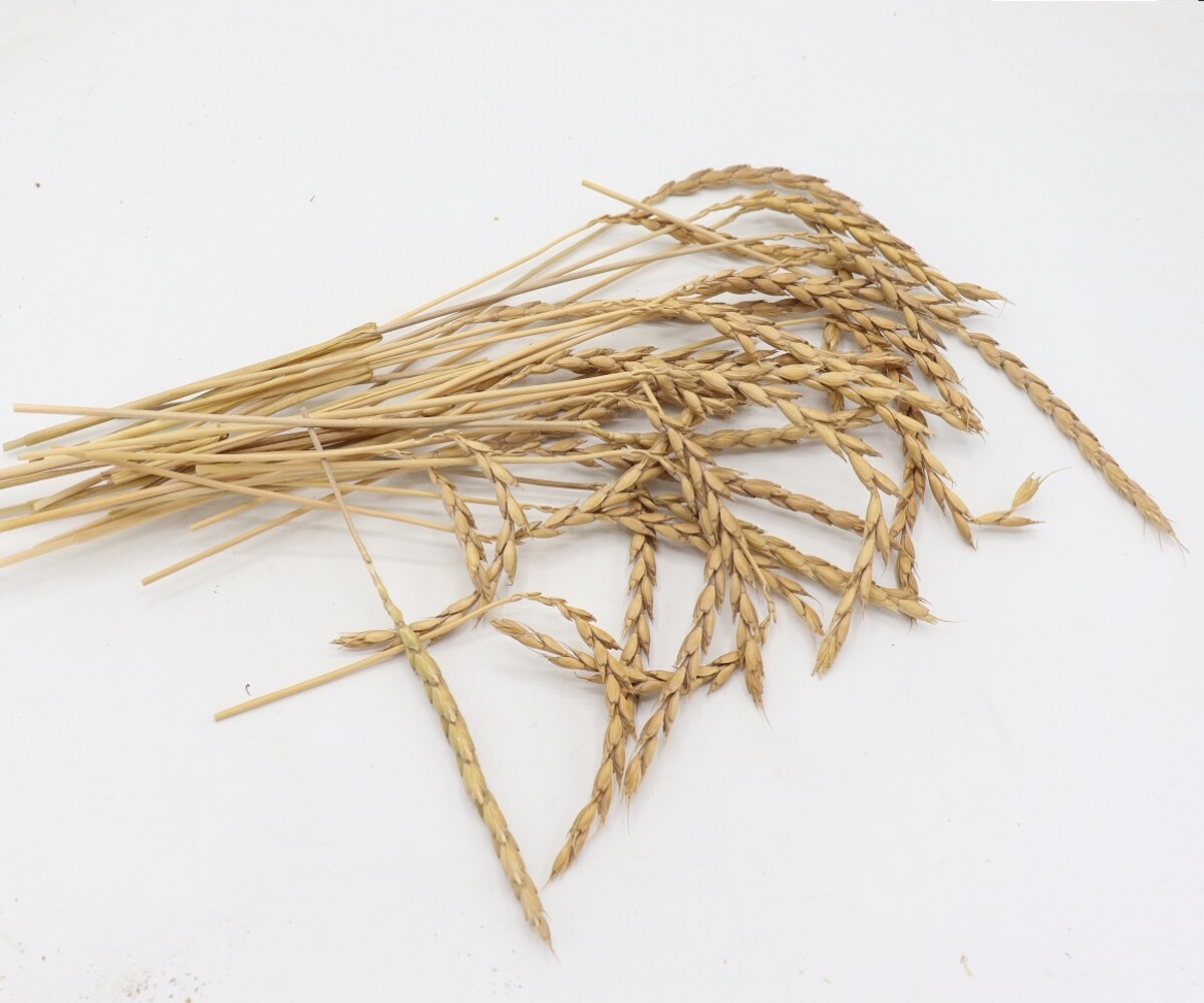 Herbimals Herbimals Speltaren - 100 gram Herbimals Herbimals Speltaren - 100 gram