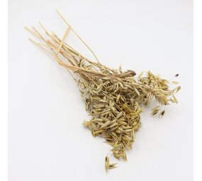 Herbimals Herbimals Zwarte Haveraren - 100 gram Herbimals Herbimals Zwarte Haveraren - 100 gram