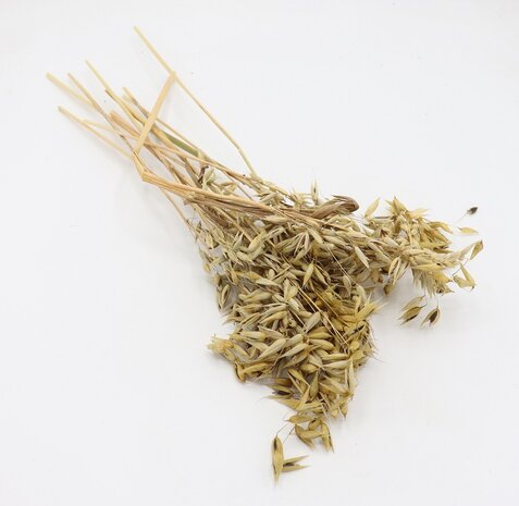 Herbimals Herbimals Zwarte Haveraren - 100 gram Herbimals Herbimals Zwarte Haveraren - 100 gram