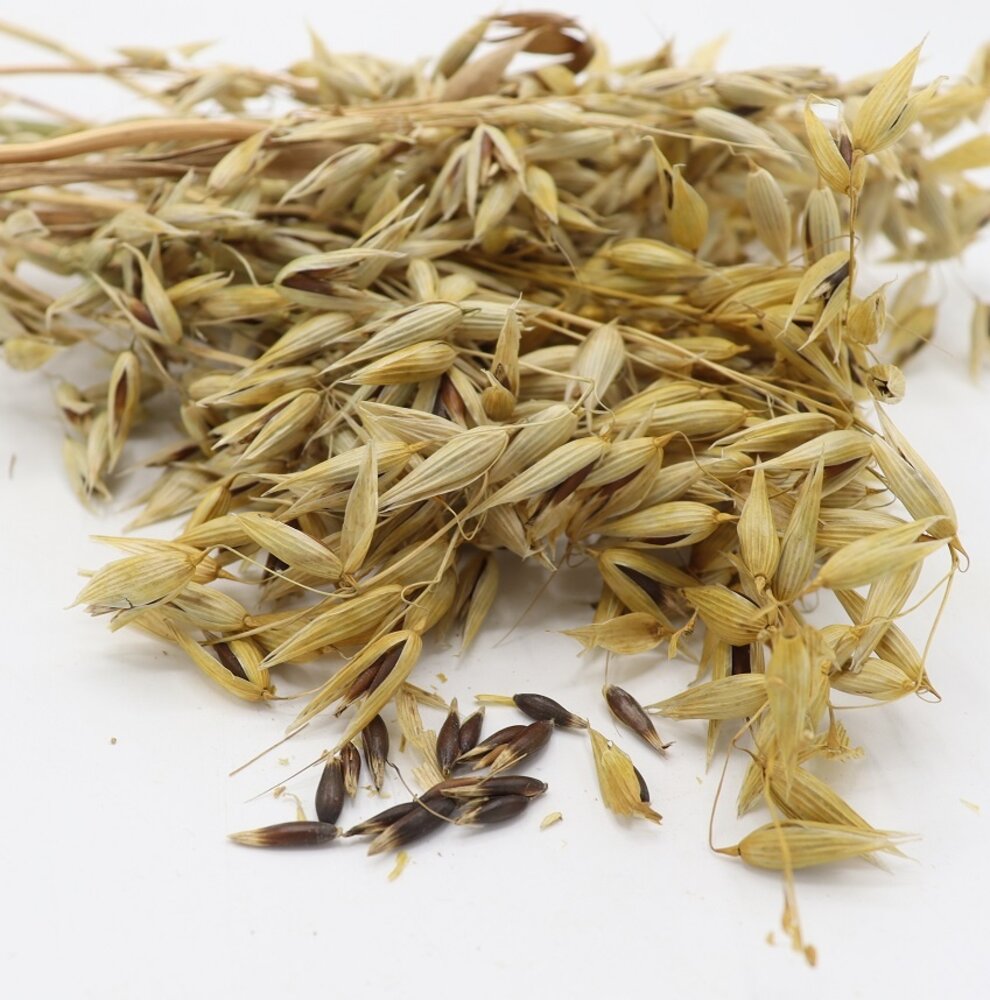 Herbimals Herbimals Zwarte Haveraren - 100 gram Herbimals Herbimals Zwarte Haveraren - 100 gram