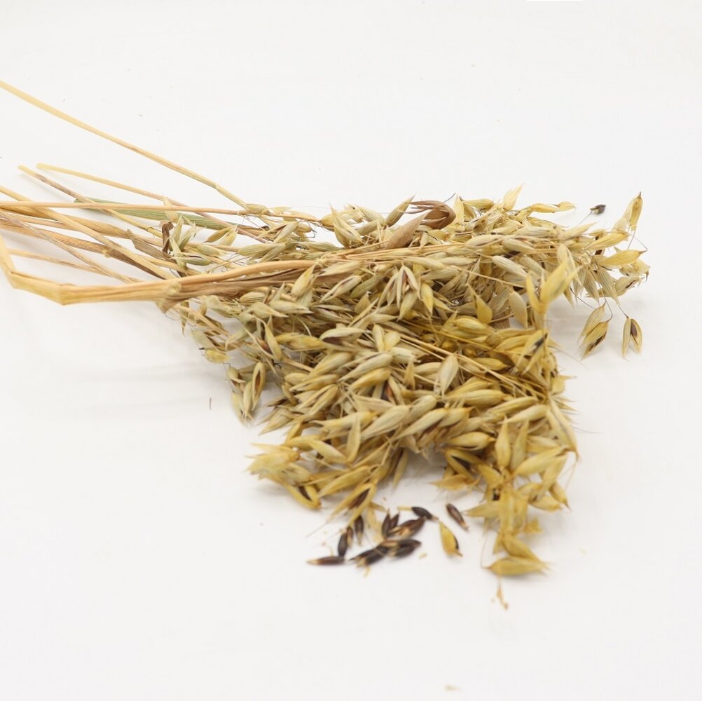 Herbimals Herbimals Zwarte Haveraren - 100 gram Herbimals Herbimals Zwarte Haveraren - 100 gram