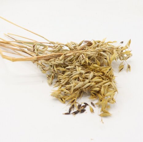 Herbimals Herbimals Zwarte Haveraren - 100 gram Herbimals Herbimals Zwarte Haveraren - 100 gram