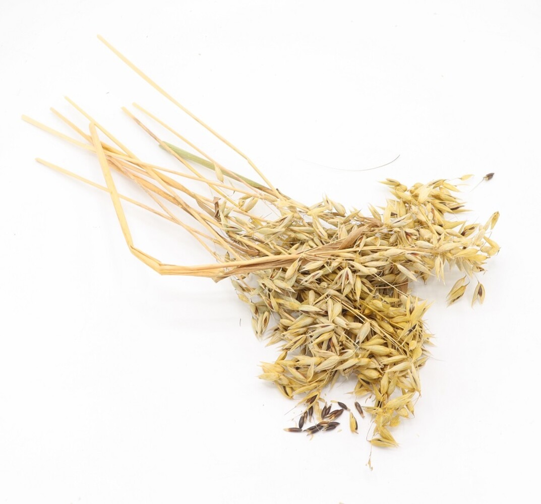 Herbimals Herbimals Zwarte Haveraren - 100 gram Herbimals Herbimals Zwarte Haveraren - 100 gram