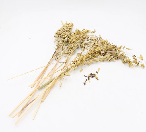 Herbimals Herbimals Zwarte Haveraren - 100 gram Herbimals Herbimals Zwarte Haveraren - 100 gram