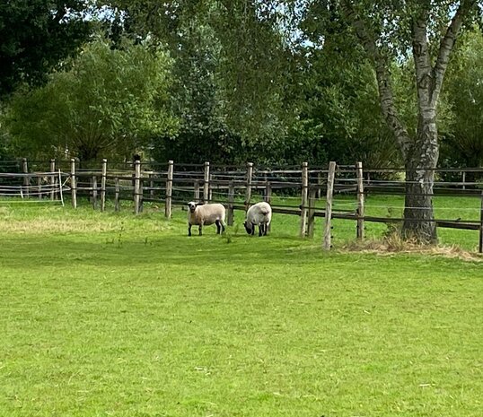 Herbimals Losse Herbimals Kruidenbox - Maandbox - Schaap Herbimals Losse Herbimals Kruidenbox - Maandbox - Schaap