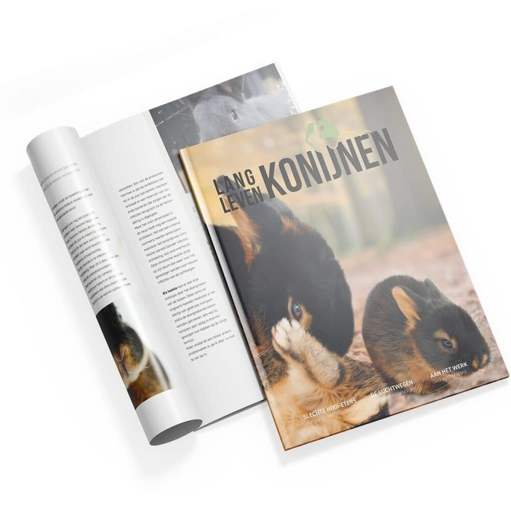 Lang Leven Konijnen Magazine Lang Leven Konijnen - Nummer 12 Lang Leven Konijnen Magazine Lang Leven Konijnen - Nummer 12