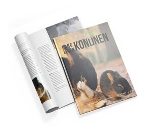Lang Leven Konijnen Magazine Lang Leven Konijnen - Nummer 12 Lang Leven Konijnen Magazine Lang Leven Konijnen - Nummer 12