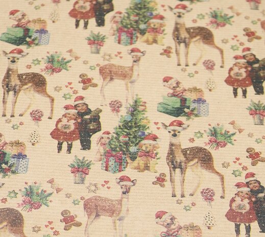 Kerst Cadeaubox - Cavia's Kerst Cadeaubox - Cavia's