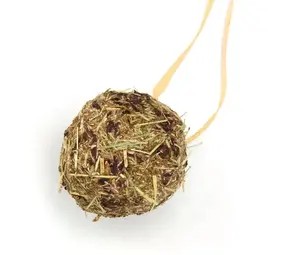 Mr. Crumble Mr. Crumble Timothee Hooi Knabbelbal Biet - Ø 7 cm - 40 gram Mr. Crumble Mr. Crumble Timothee Hooi Knabbelbal Biet - Ø 7 cm - 40 gram