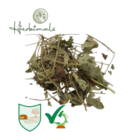 Herbimals Herbimals Aardbeiblad - grof Herbimals Herbimals Aardbeiblad - grof