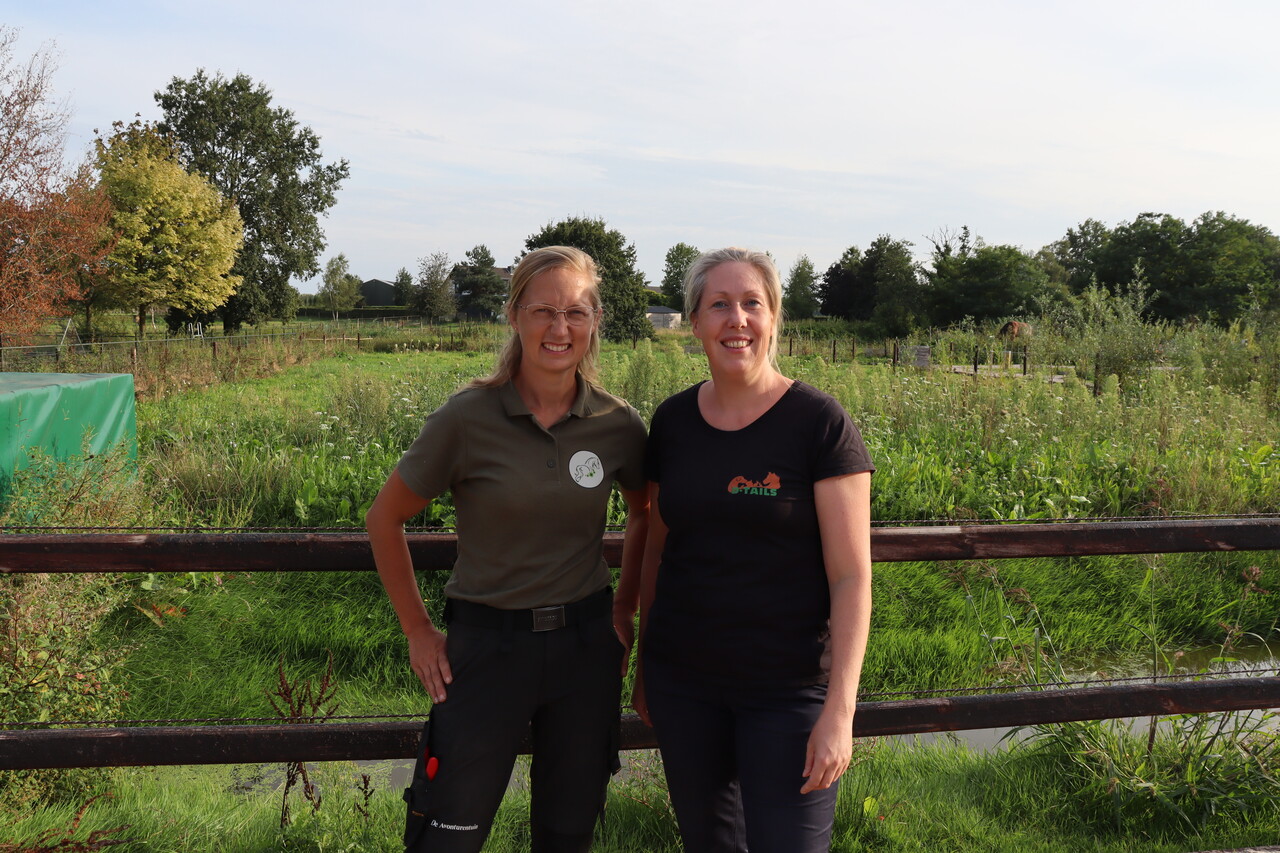 Seizoenspaard programma Seizoenspaard programma