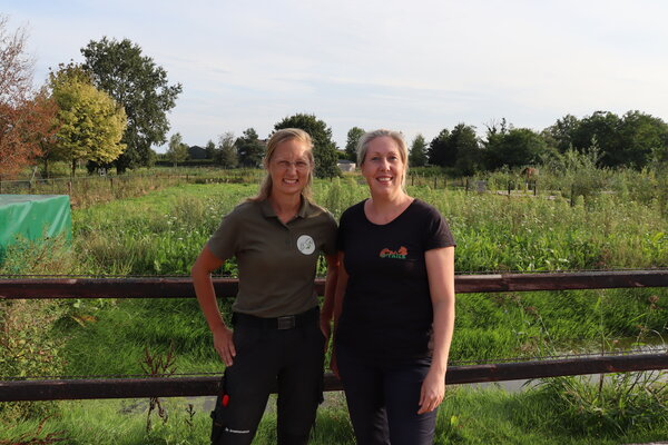 Seizoenspaard programma Seizoenspaard programma