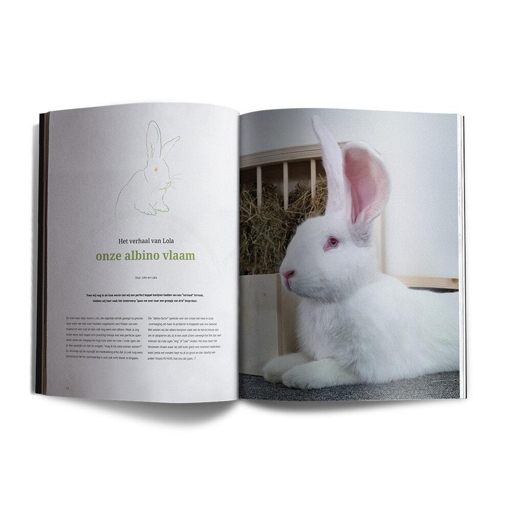 Lang Leven Konijnen Magazine Lang Leven Konijnen - Nummer 13 Lang Leven Konijnen Magazine Lang Leven Konijnen - Nummer 13