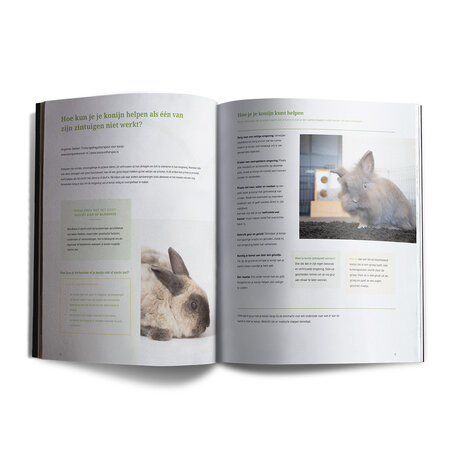 Lang Leven Konijnen Magazine Lang Leven Konijnen - Nummer 13 Lang Leven Konijnen Magazine Lang Leven Konijnen - Nummer 13