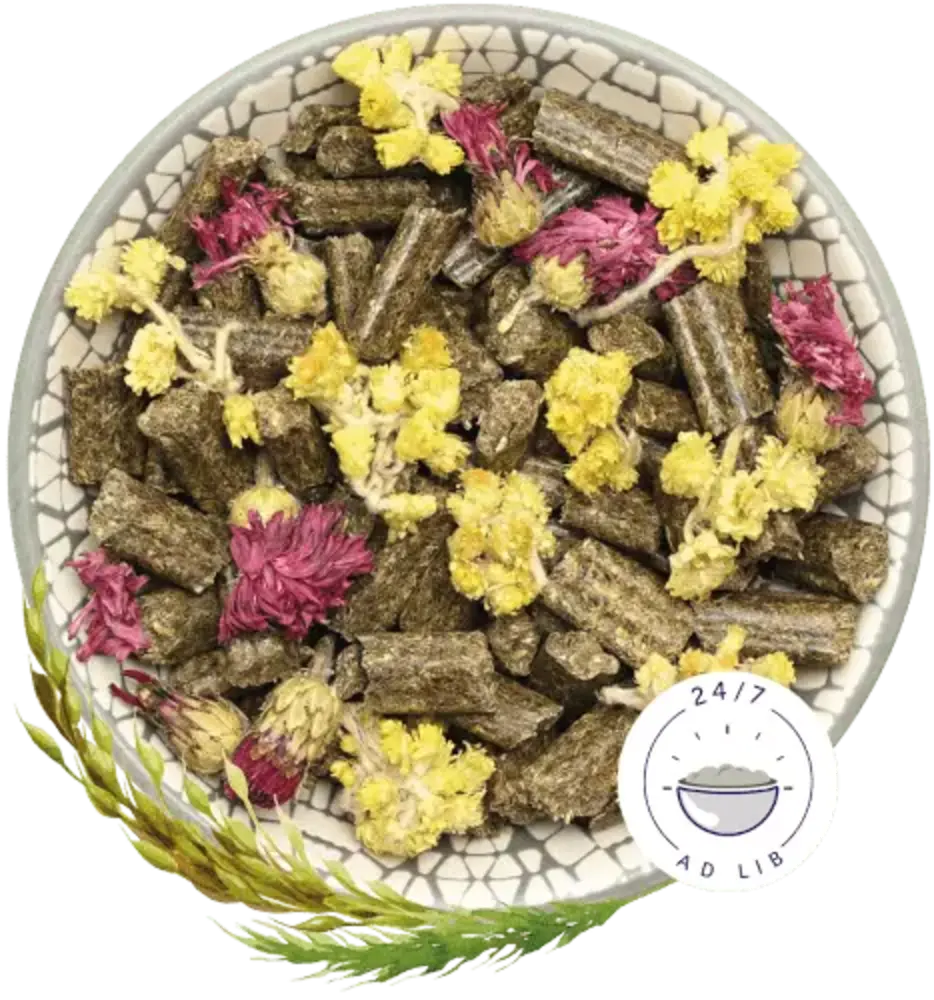 Bunny Nature Bunny Nature - KonijnenDroom Harmony - Special Edition - 1.5 kilo Bunny Nature Bunny Nature - KonijnenDroom Harmony - Special Edition - 1.5 kilo