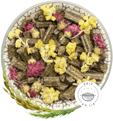 Bunny Nature Bunny Nature - KonijnenDroom Harmony - Special Edition - 1.5 kilo Bunny Nature Bunny Nature - KonijnenDroom Harmony - Special Edition - 1.5 kilo