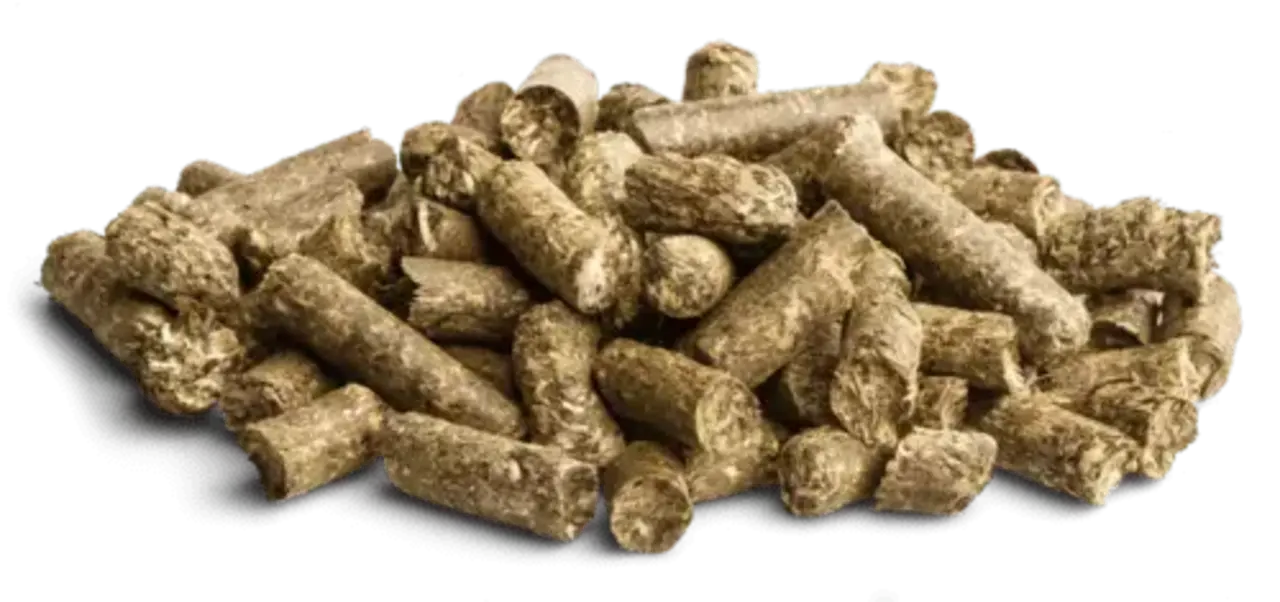 Bunny Nature Bunny Nature Enjoy Allgäu Vers Groen met Paardebloem Snack - 200 gram Bunny Nature Bunny Nature Enjoy Allgäu Vers Groen met Paardebloem Snack - 200 gram