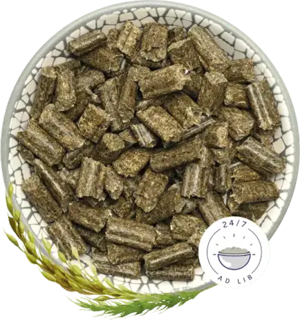 Bunny Nature Bunny Nature - KonijnenDroom Vitality - 1.5 kilo Bunny Nature Bunny Nature - KonijnenDroom Vitality - 1.5 kilo