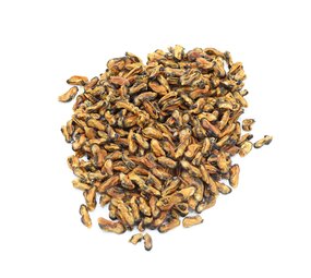 Bark-Bite Bark-Bite Fish - Mossels - 200 gram